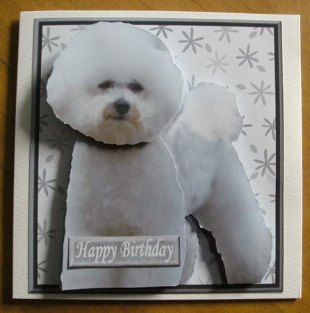 Bichon Frise 3D Decoupage by Heather Finn