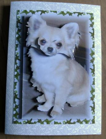 Chihuahua Decoupage by Heather Finn