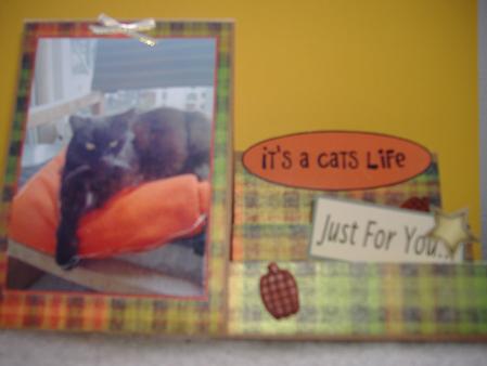 It's a Cats Life by H Pearson