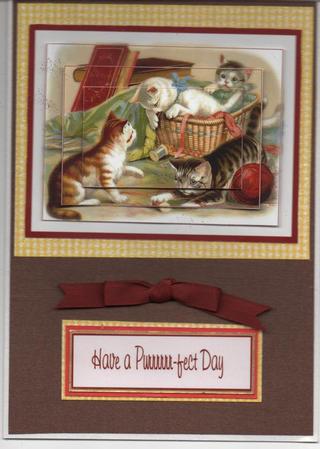 Cats Playing Pyramid by H Pearson
