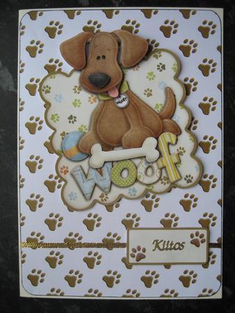 Paw Prints by Heidi Autio
