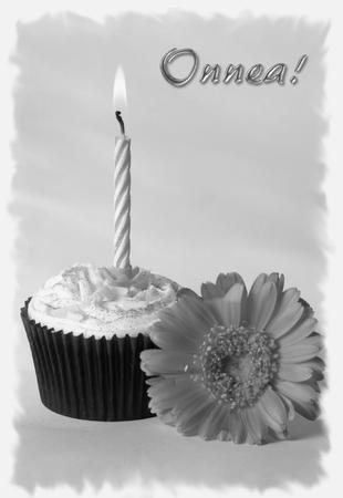 Cupcake & Gerbera by Heidi Autio