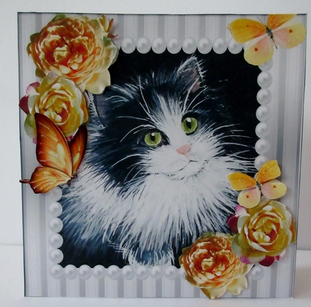 pretty painted black and white kitten with pearl & yellow roses 8x8 by Helen Myers