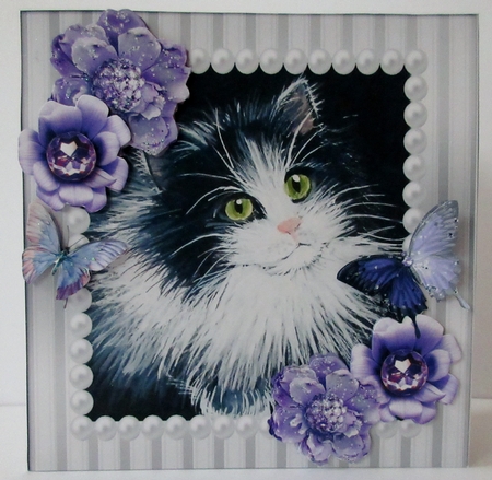pretty painted black and white kitten with pearl & purple roses 8x8 by Helen Myers
