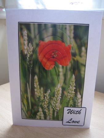 Poppy Get Well Soon by Helen Cassidy