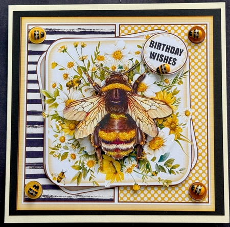 Birthday Bee  by Helen Fearn