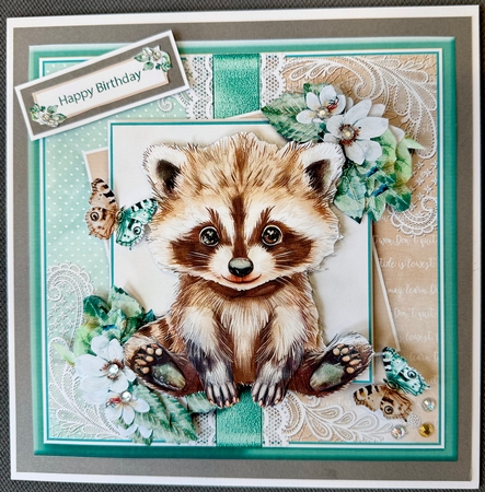 Cute Racoon  by Helen Fearn