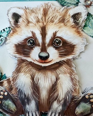 Cute Racoon  by Helen Fearn