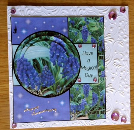 Starry Spring by Helen Gomm