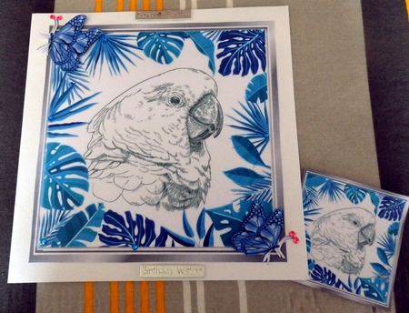 Lovely black and white sketch of a parrot in 8x8 blue leaf frame by Helen Gomm