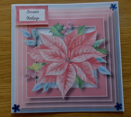 The Pink Poinsettia 8x8 by Helen Gomm