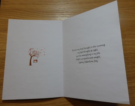 Valentine Birds insert by Helen Gomm