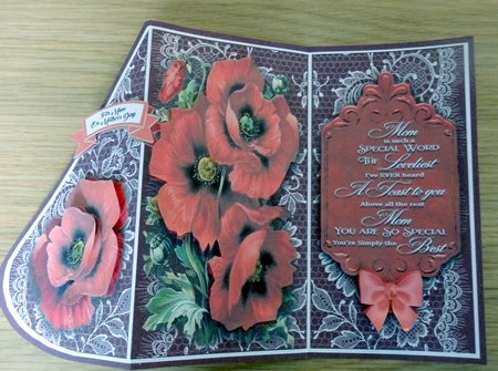 Tear Drop Red Poppies Folded DL Card by Helen Gomm