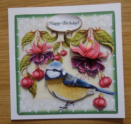 Bluetit Lace & Fuschias 6 x 6 Card Kit With Decoupage Insert Envelope Gift Cards &  Masses Of Tags by Helen Gomm