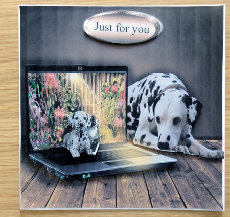 Dalmatian by Helen Gomm