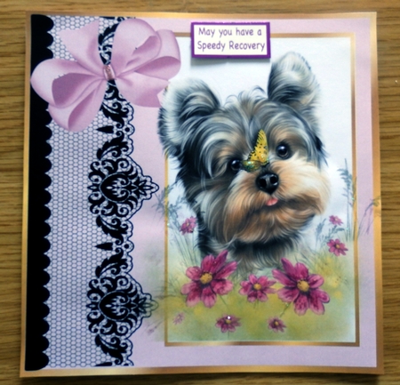 Pretty pink black lace border window 8x8 frame with yorkie by Helen Gomm
