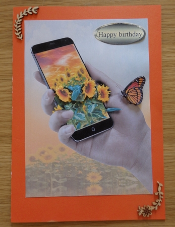 butterfly and flowers by Helen Gomm