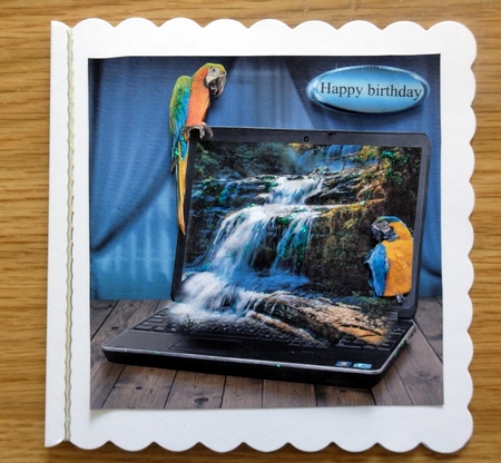 laptop parrots by Helen Gomm