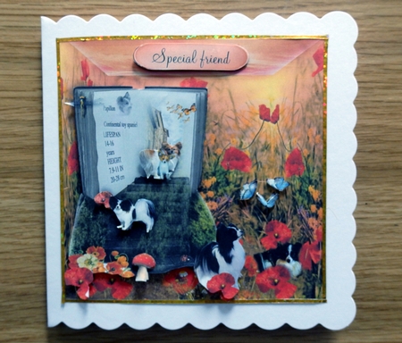 book of papillons by Helen Gomm