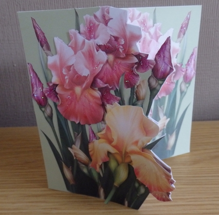 Iris Blush -  6 x 6 Floral Printable Cut Out Card Kit With Decoupage, Insert, Envelope, Tags & Instructions by Helen Gomm