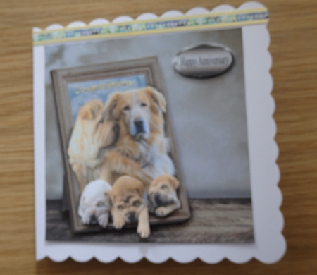 family by Helen Gomm