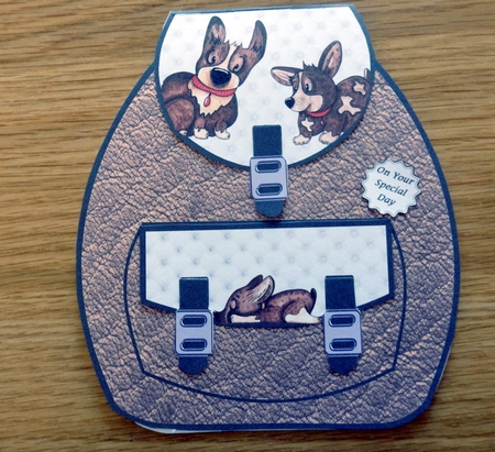 Dog back pack kit by Helen Gomm