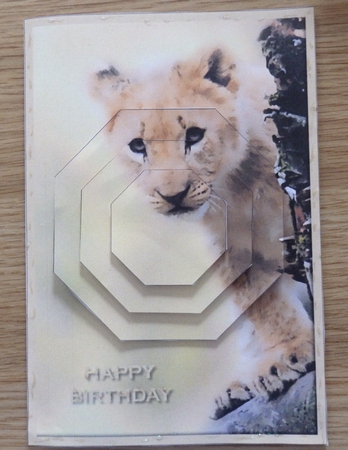 Cute Lion Cub Octagon Pyramid by Helen Gomm