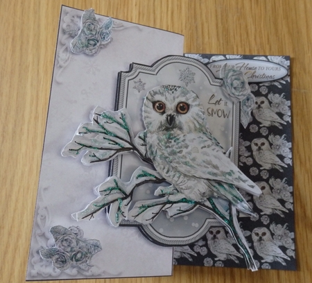 Winter Owl Fold Back Card Kit-1 by Helen Gomm
