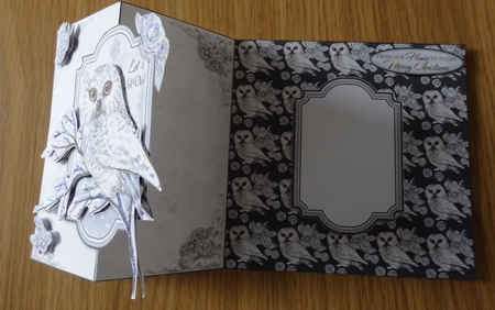 Winter Owl Fold Back Card Kit-1 by Helen Gomm