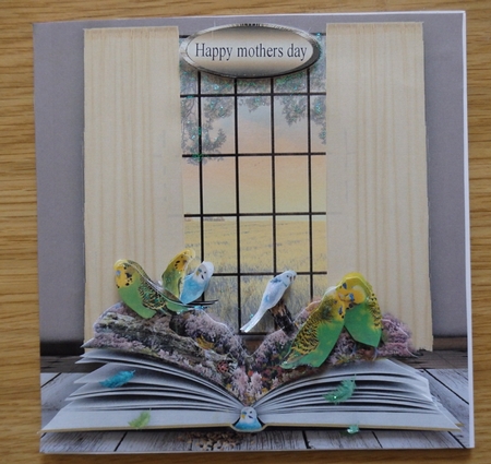 book on budgies by Helen Gomm