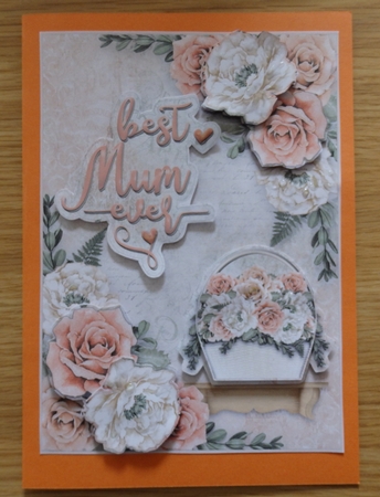 Best Mum Ever 2 by Helen Gomm