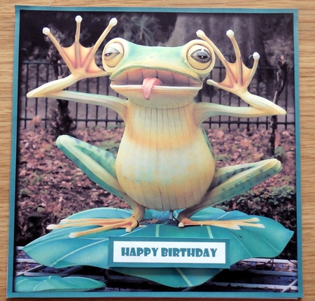 Funny Frog Quick Card 2 by Helen Gomm