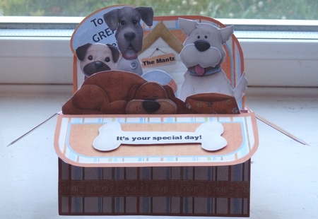 Its a Dogs Life Multi-occasion Rectangle Pop up Box Card by Helen Gomm