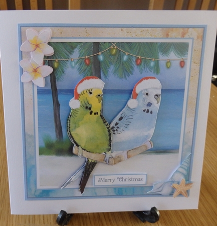 6X6 CHRISTMAS BUDGIES  by Helen Gomm