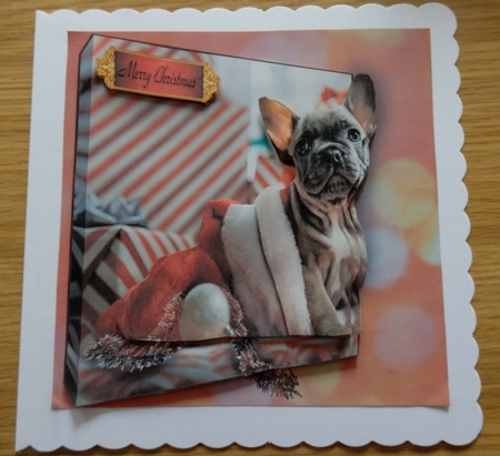 Christmas Puppy by Helen Gomm