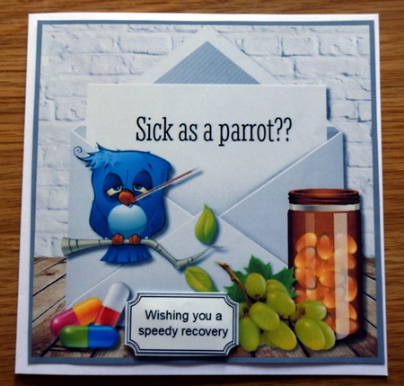 Sick as a parrot get well soon by Helen Gomm