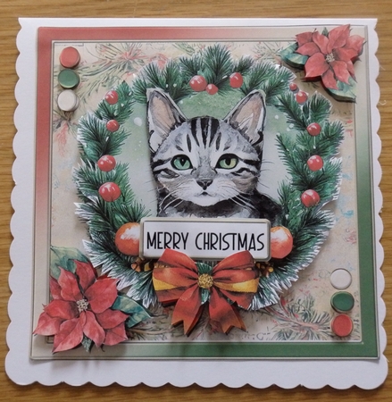 christmas kats 3  by Helen Gomm