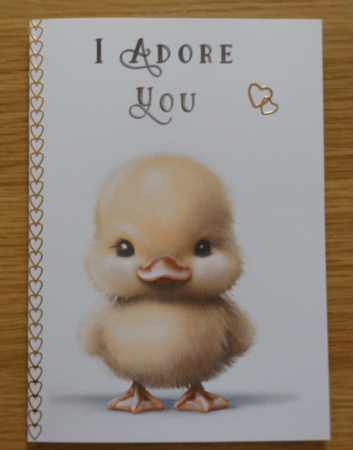 No Cut Just Print Valentines Day Card - Chick by Helen Gomm