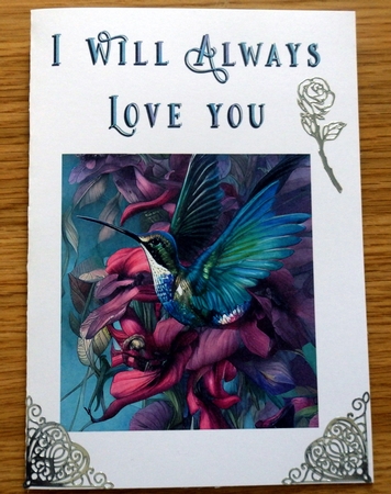No Cut Just Print Valentines Day Card - Humming Bird by Helen Gomm