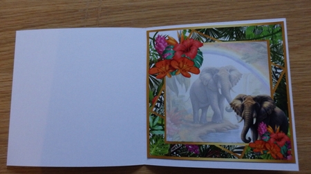 Tropical Elephant by Helen Gomm