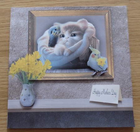 daffodils on the shelf  by Helen Gomm