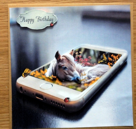mobile foal by Helen Gomm