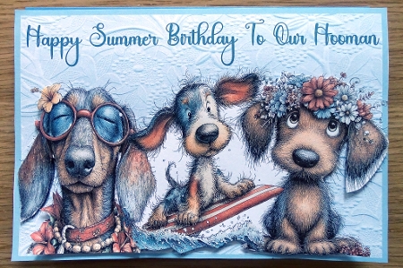 Summer Birthday To Our Hooman A5 Card by Helen Gomm