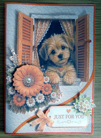 Orange Window Puppy Just For You Card Topper by Helen Gomm