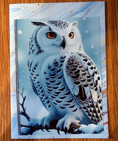 Beautiful Snow Owl On A Branch A4 by Helen Gomm