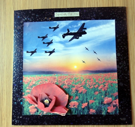 Rememberance - Red Poppy Field Fly Over 3D Decoupage Ins+tag by Helen Gomm