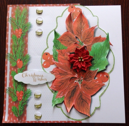Over the Edge  Beautiful Poinsettias by Helen Gomm