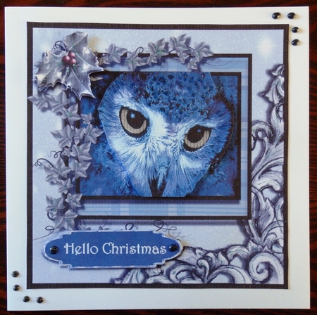 Frosty Christmas Owl by Helen Gomm
