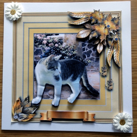 Animals Stepping Out - Housecat by Helen Gomm