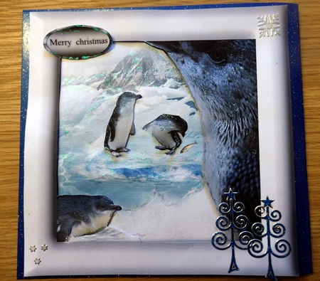 fairy penguins by Helen Gomm